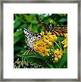 - Paper Kite And Monarch Butterfly Framed Print