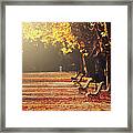 Park Benches In Fall Framed Print