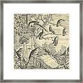 Parrots And Monkeys At A Garden Fountain Framed Print
