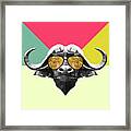 Party Buffalo In Glasses Framed Print