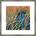 Pastel Wetlands I Framed Print