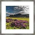 Pasture With Blooming Heather In Scenic Mountain Landscape At The Old Man Of Storr Formation On The Framed Print