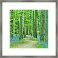 Path Through Bluebells Forest Framed Print