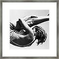 Patricia Mccormick Diving In Olympics Framed Print
