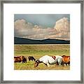 Peace Before The Storm Framed Print