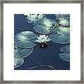 Peace In The Present Framed Print