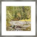 Peaceful Molalla River Framed Print