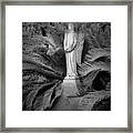 Peaceful  Thoughts At Bonaventure Cemetary Ii Framed Print