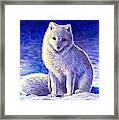 Peaceful Winter Arctic Fox Framed Print