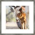 Peek-a-boo 2 Framed Print