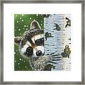 Peek-a-boo Raccoon Framed Print