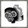 Peeking Lemur - Ink Illustration Framed Print