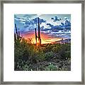 Tucson, Arizona Saguaro Sunset Framed Print