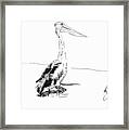 Pelican Drawing Framed Print