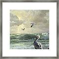 Pelicans In The Surf Framed Print