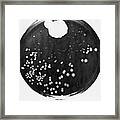 Penicillin And Staphylococci In A Petri Framed Print