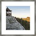 Perched Framed Print