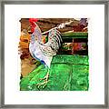 Perched Framed Print