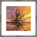 Percy Priest Lake Sunset Young Tree Framed Print