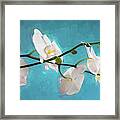 Perfect Phalaenopsis Orchid 110 Framed Print