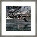 Perseverance - Eagle Art Framed Print