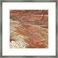 Petrified Forest 14 Framed Print