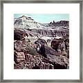 Petrified Forest Framed Print