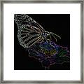 Phantom Butterfly Framed Print