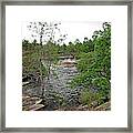 Pickerel River Outlet Rapids Framed Print