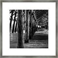 Pier Pilings In Black And White Framed Print