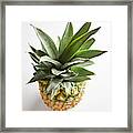 Pineapple Top Framed Print