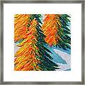 Pines In The Snow Framed Print