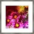 Pink And Orange Flower Abstract Framed Print