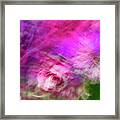 Pink And White Pastel Abstract Framed Print