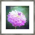 Pink Dahlia Gratitude Artwork Framed Print