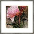 Pink Peonies Framed Print