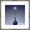 Pink Perpetual Rose In Vase Framed Print