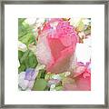 Pink Rose Pastel Abstract Framed Print