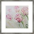 Pink Roses Framed Print