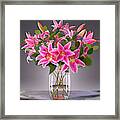 Pink Stargazer Lilies In Vase Framed Print