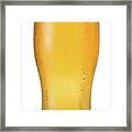 Pint Of Beer On A White Background Framed Print