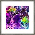 Purple Blossoms Framed Print