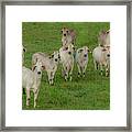 Please Tell Me You Brought Breakfast, Soft Color Framed Print