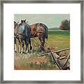 Plowing The Field Framed Print