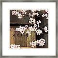 Plum Blossoms And Apple Boxes Framed Print