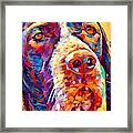 Pointer Framed Print