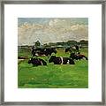 Polder Landscape With Cows C1901-1902 Framed Print