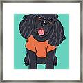 Poodle Black Framed Print