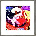 Pop Cat Toby Framed Print