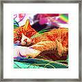 Popcat Teddy Framed Print
